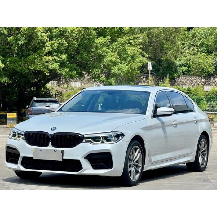 Used BMW 5 Series 2020 530Li 2.0T Mid-size Petrol Car