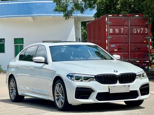Used BMW 5 Series 2020 530Li 2.0T Mid-size Petrol Car