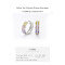 Customized Wholesale Silver 925 Hoop Earrings | Exquisite Luxury Zircon Women's Hoop Earrings