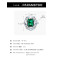 Hot Selling European and American Style Temperament Zircon Ring | 925 Sterling Silver Light Luxury Fashion Women's Ring