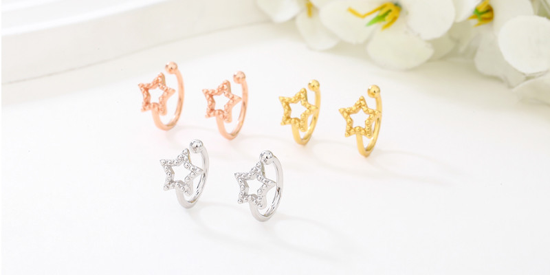 silver earrings