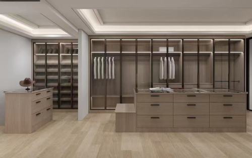 Modern | Melamine ＆ Glass Door |Walk in Cabinet with Island | ODM Customization