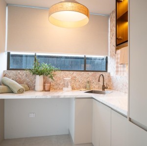 Modern | Matt Lacquer Cabinetry |Walk in Laundry | Glass Door | ODM Customization