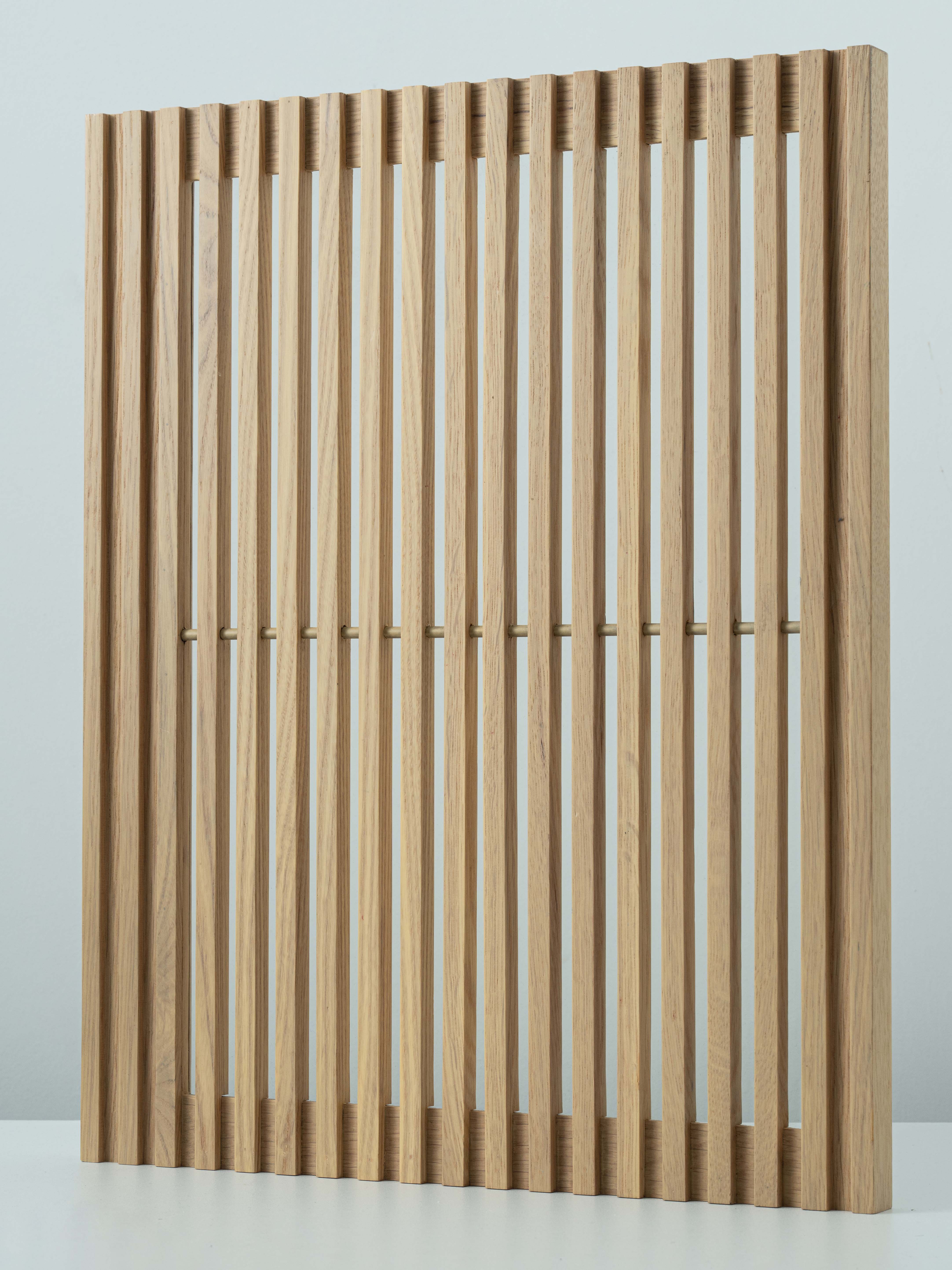 ASD-016 door shape