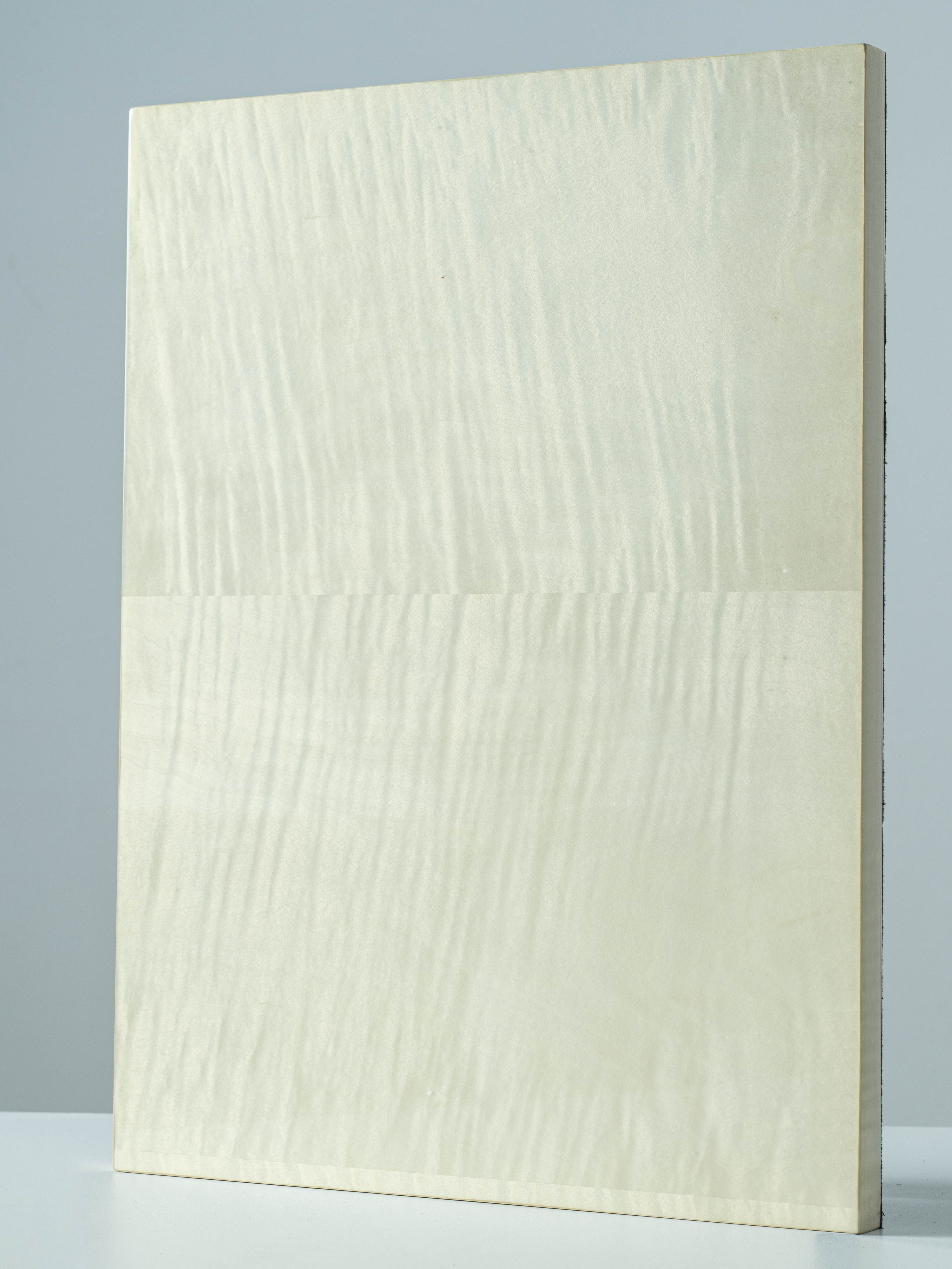 NT533-25MP wood veneer high glossy artistic paint