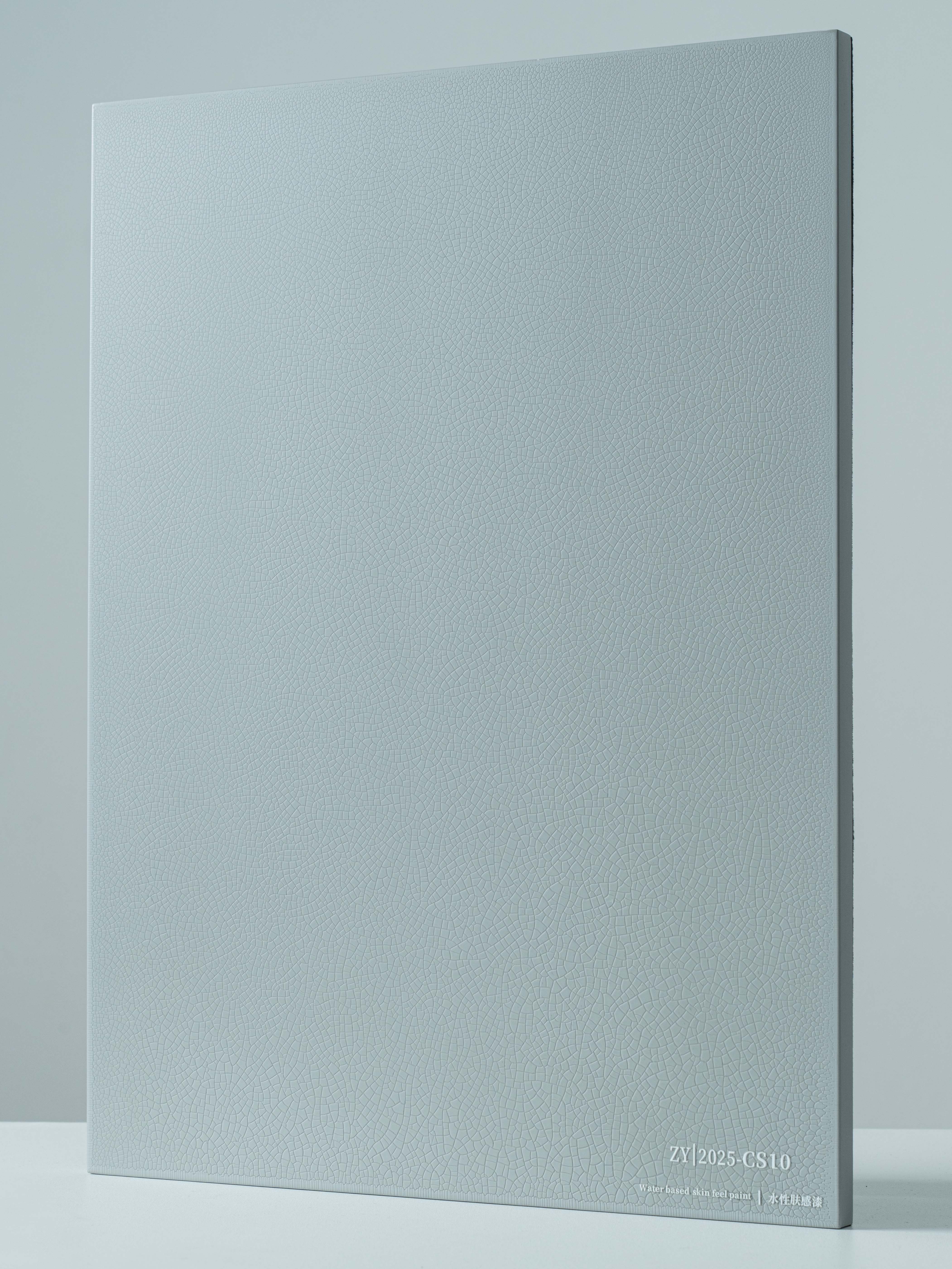 ZY2025 CS10 artistic paint