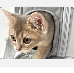 Space Capsule Pet Carrier - Airline-Approved, Durable & Ventilated Travel Bag