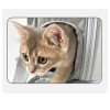 Space Capsule Pet Carrier - Airline-Approved, Durable & Ventilated Travel Bag