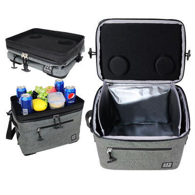 Insulated Cooler Bag - Leakproof, Durable Cold Storage for Food, Pharma & Outdoor Use