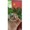 Thickness 2mm 3mm 4mm 5mm 10mm High Quality Hemisphere Clear Semicircle  Dome Cover Lens Optical glass dome  BK7 BK10 H-K9L