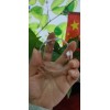 Thickness 2mm 3mm 4mm 5mm 10mm High Quality Hemisphere Clear Semicircle  Dome Cover Lens Optical glass dome  BK7 BK10 H-K9L
