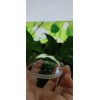 Thickness 2mm 3mm 4mm 5mm 10mm High Quality Hemisphere Clear Semicircle  Dome Cover Lens Optical glass dome  BK7 BK10 H-K9L
