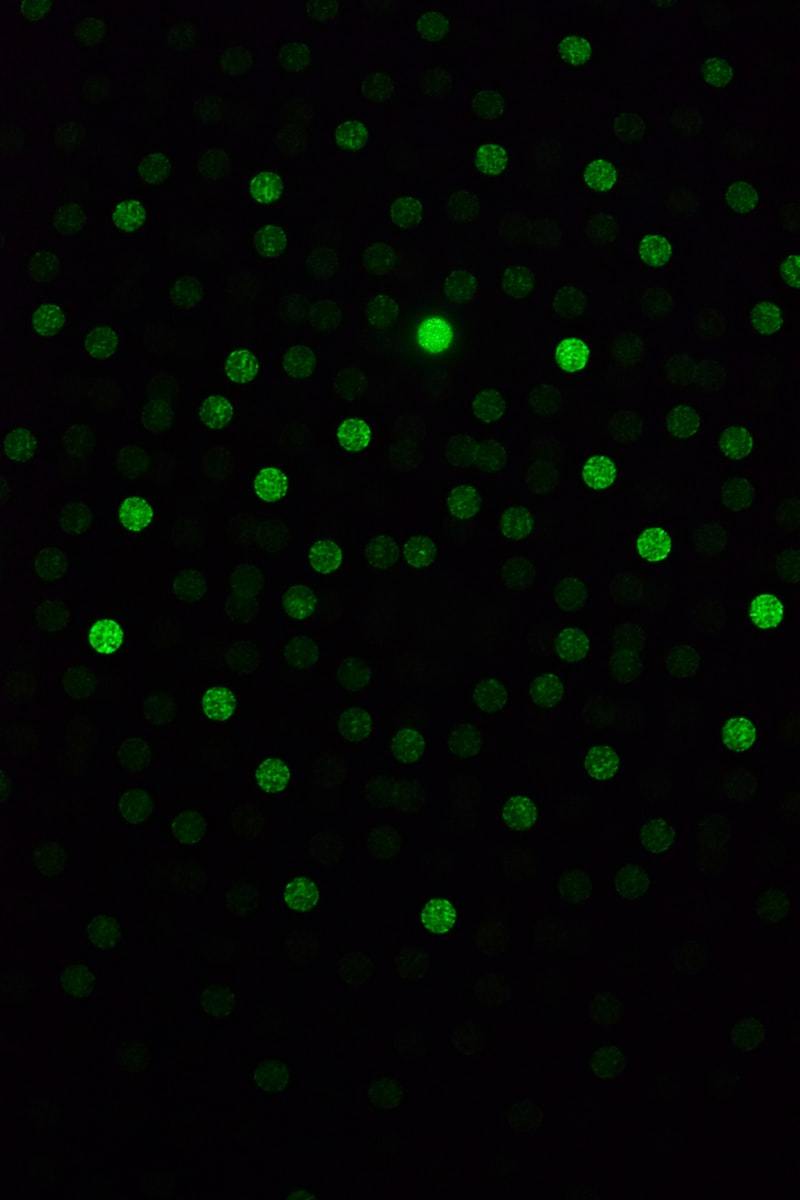 Custom BK7 blanks for secondary optical processing