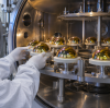 Felix Glass Expands IR Optics Production | Faster Lead Time for Custom ZnS, ZnSe, Sapphire & Fused Silica Windows