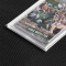 Graded Card Slab Sleeve Supplier | Resealable & Perfect Fit for Retail