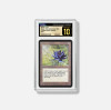 Top 5 Most Expensive Trading Cards of 2025: A Collector’s Dream with Guard TCG