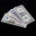 Customizable Polypropylene Paper Money Currency Banknote Sleeves for Collectors Bill Dollar Protector