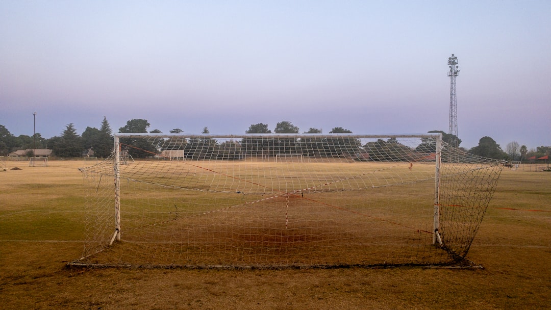 A vibrant image showcasing a futuristic solar farm with a mix of traditional and advanced, perhaps glowing, panels under a bright sun