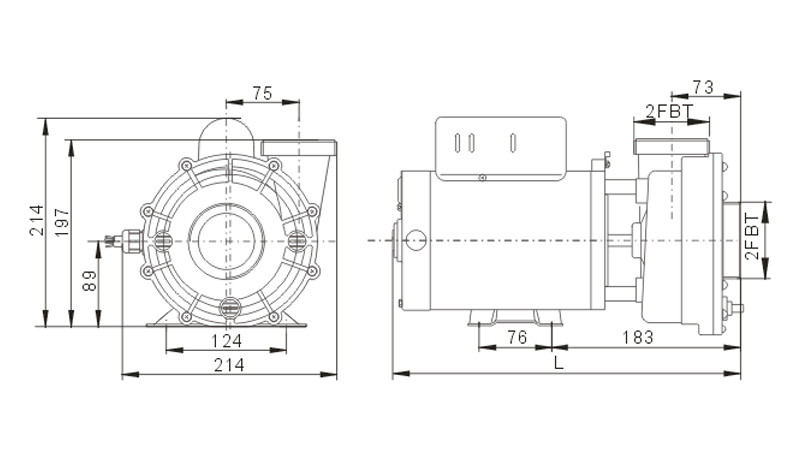 SPA Pump Supplier