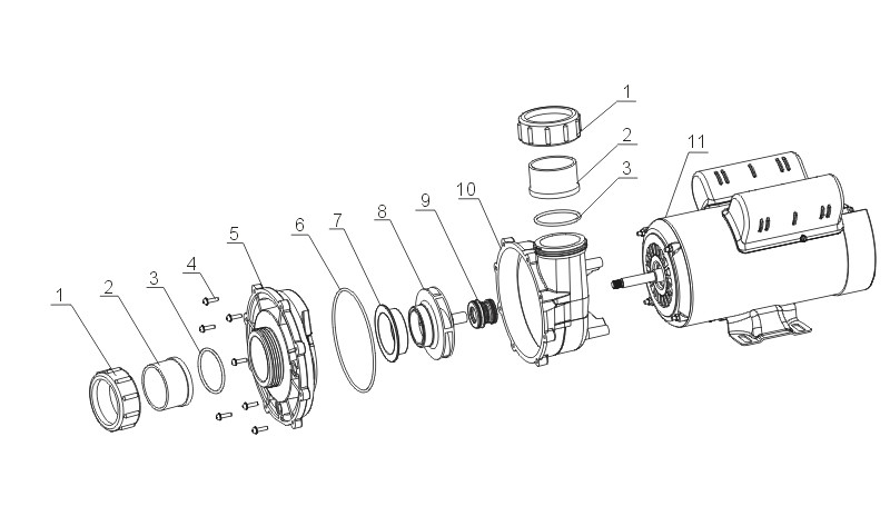 SPA Pump Supplier