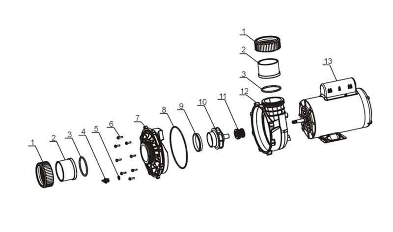 Adjustable Speed SPA Pumps Wholesale