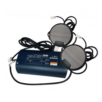 SPA Bluetooth Playback BT-002 | Hot Tub Surround Audio Sound System Bluetooth Speaker System | Support OEM and ODM