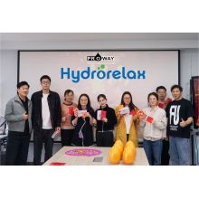 Hangzhou Proway & Hydrorelax Successfully Holds Recap Meeting for Alibaba New March Expo