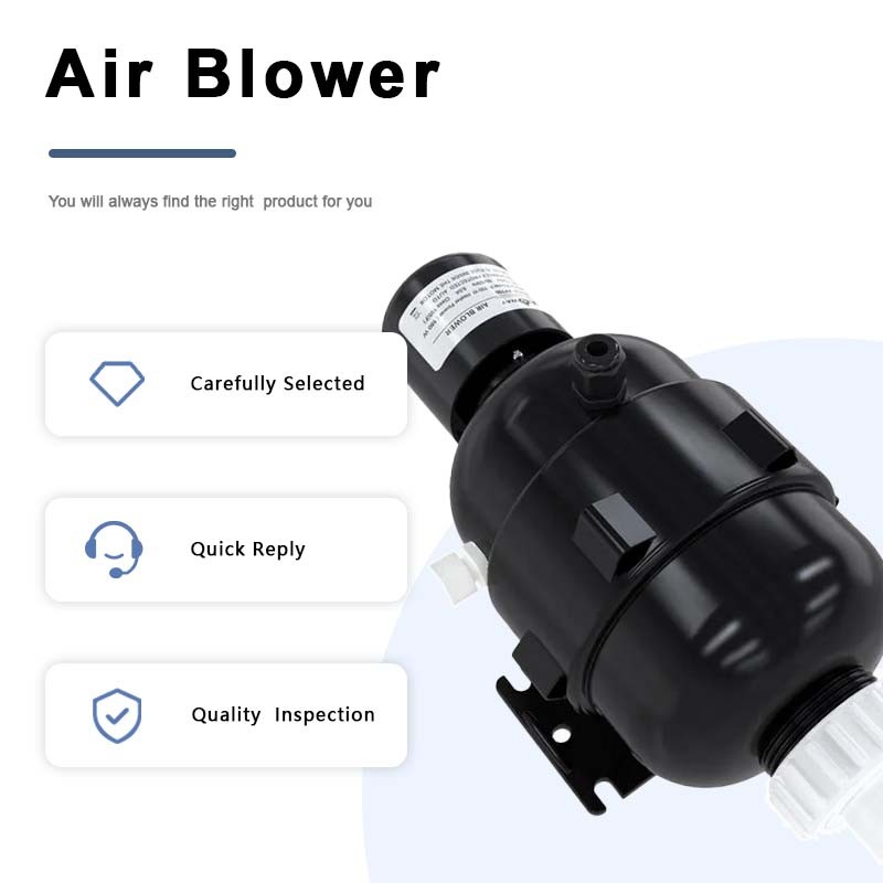 SPA air blower