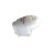 Shower Steam outlet YH-04 | Wholesale | Steam Jet Outlet for Steam Shower | Factory Direct Sale