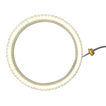 Shower Light TOPL03 | Wholesale | RGB Color LED Ceiling Light for Shower Room | Factory Pricing for Bulk Order