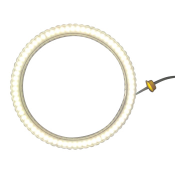 Shower Light TOPL03 | Wholesale | RGB Color LED Ceiling Light for Shower Room | Factory Pricing for Bulk Order