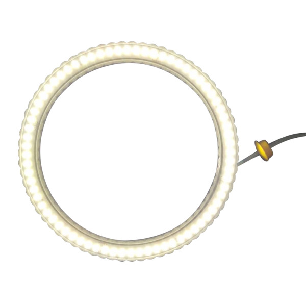 Shower Light TOPL03 | Wholesale | RGB Color LED Ceiling Light for Shower Room | Factory Pricing for Bulk Order