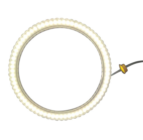 Shower Light TOPL03 | Wholesale | RGB Color LED Ceiling Light for Shower Room | Factory Pricing for Bulk Order