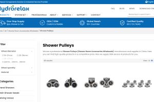 Los 5 principales proveedores mundiales de rodillos para puertas de ducha al por mayor