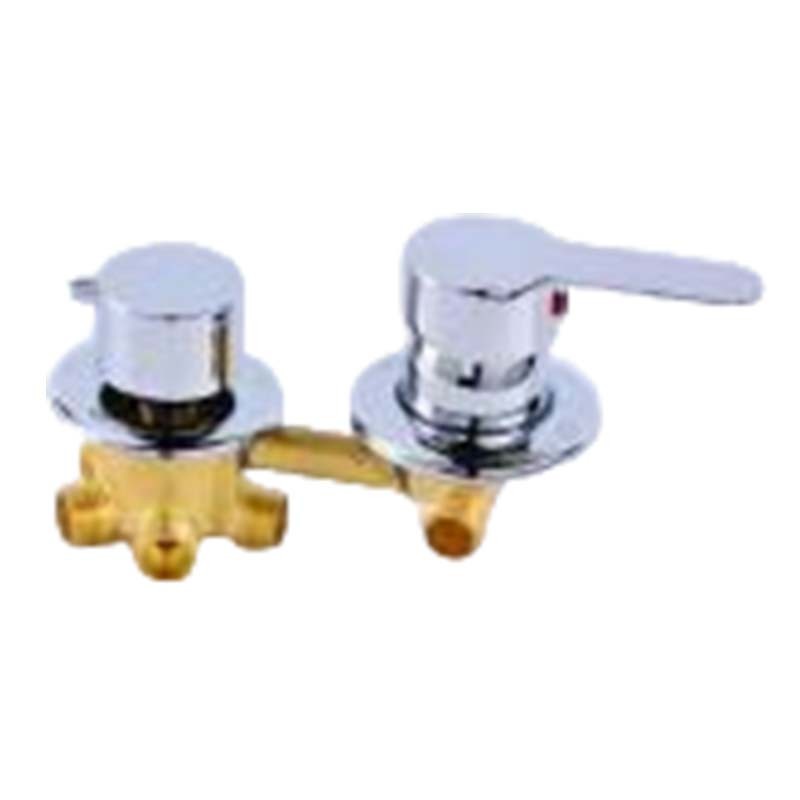 Shower Mixing Valve 2020 View