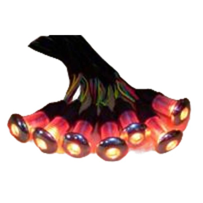 Hot Tub Led Light Set CS-61 | Wholesale | 10-piece spa LED lights with synchro controller | wholesale price for bulk orders