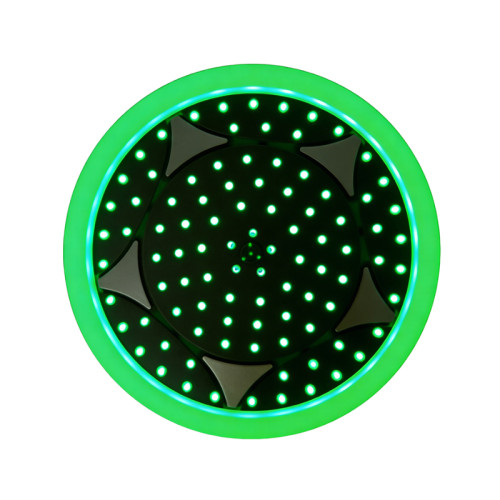 Head Shower DPN05 | Flush-mount ceiling design seamlessly  Top Shower | Wholesale | stable supply chain