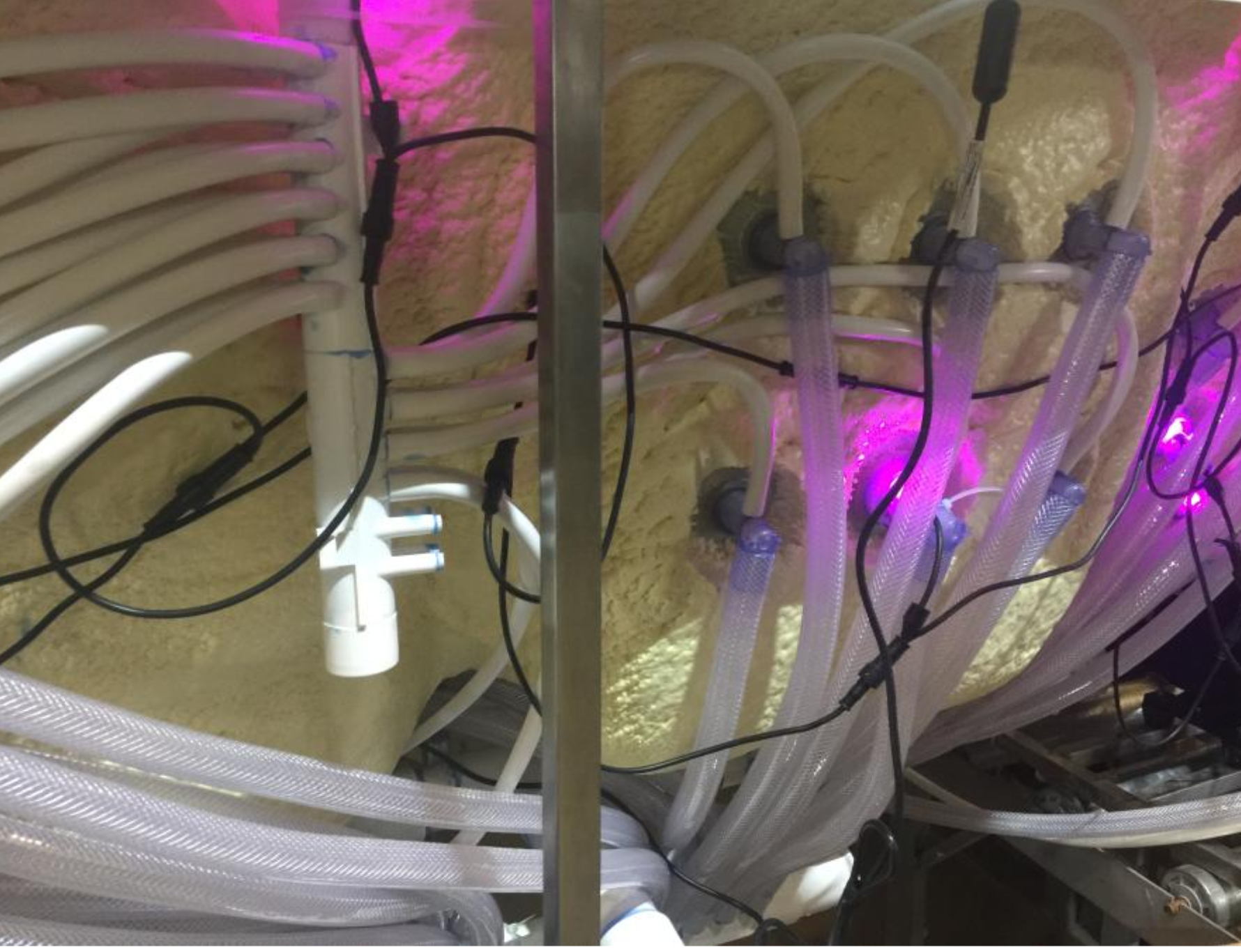 SPA interior LED chromotherapy pink lights with wiring at EEH factory
