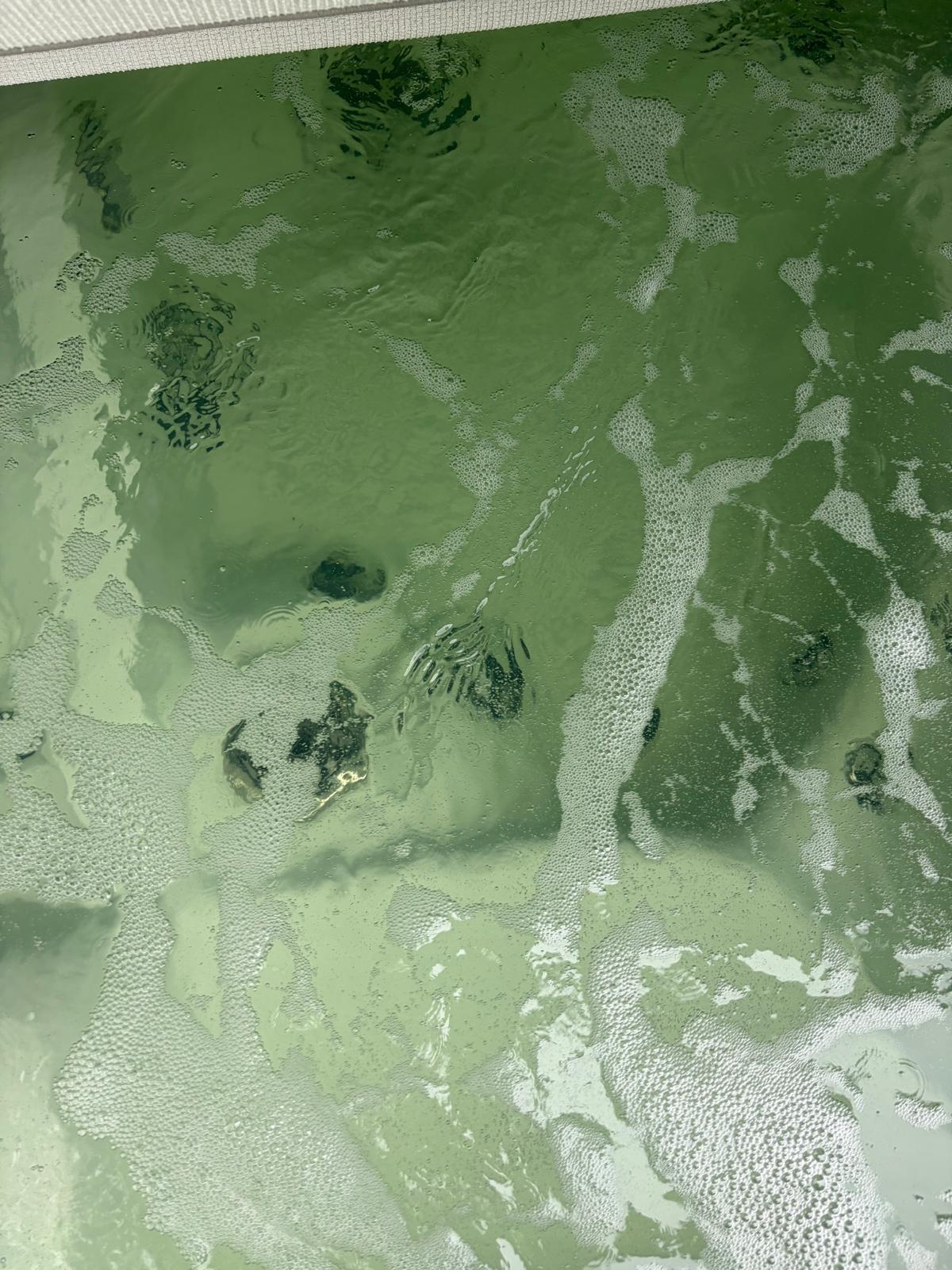Water discoloration
