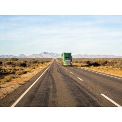 Green Fleet Management: A Practical Emissions and Fuel Guide