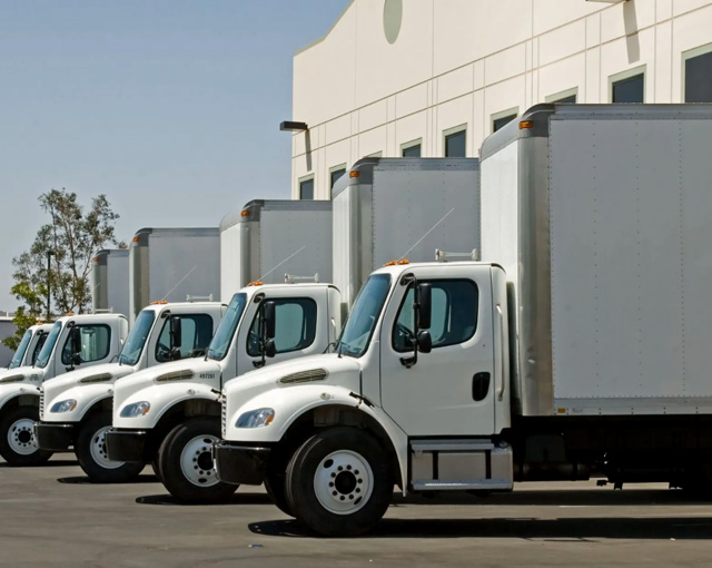 Холодная цепь поставок Cold Chain Швеция