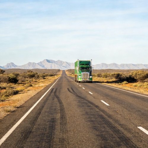 Gestión ecológica de flotas: una guía práctica sobre emisiones y combustible