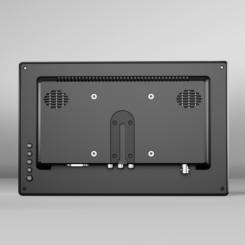 DP300 monitor product and mounting view