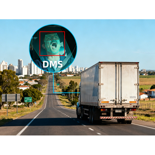 Enhancing Road Safety in Argentina with Driver Monitoring Systems