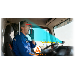 Video Telematics for Remote Fleet Oversight and Driver Support