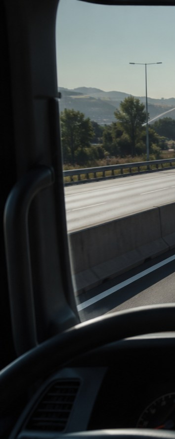 ADAS road risk monitoring