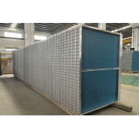 Boyi Cooling Delivers Sustainable Greenhouse Solutions for a Leading Dutch Agricultural Group