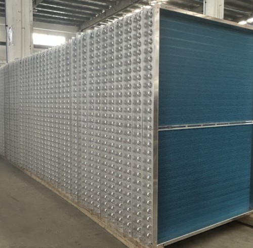 Boyi Cooling Delivers Sustainable Greenhouse Solutions for a Leading Dutch Agricultural Group
