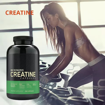 Oranvital Workout Supplements Creatine Monohydrate Muscle Creatine Monohydrate Capsules Creatine Capsules