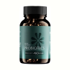 Oranvital Gut Health Probiotic Synbiotic Probiotic Capsules Probiotics Capsules for Weight Management Digestive Health